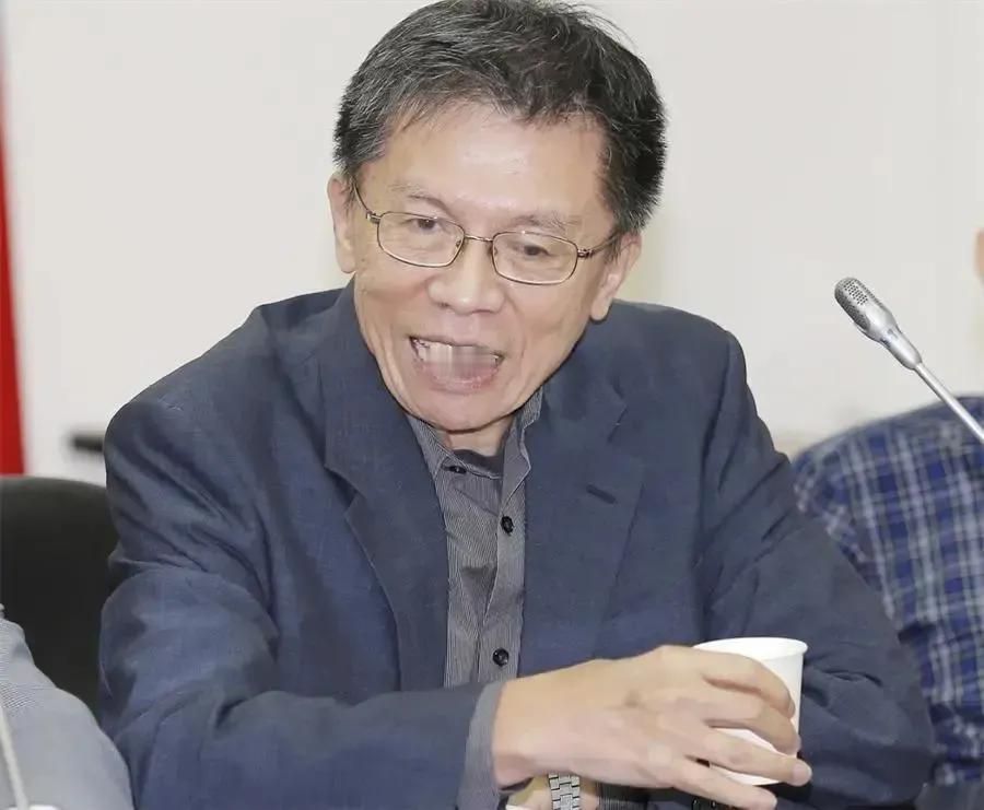 沈富雄这个老狐狸有时候会说一些混账话，但有时候头脑还是很清醒的。
在近日的一档政