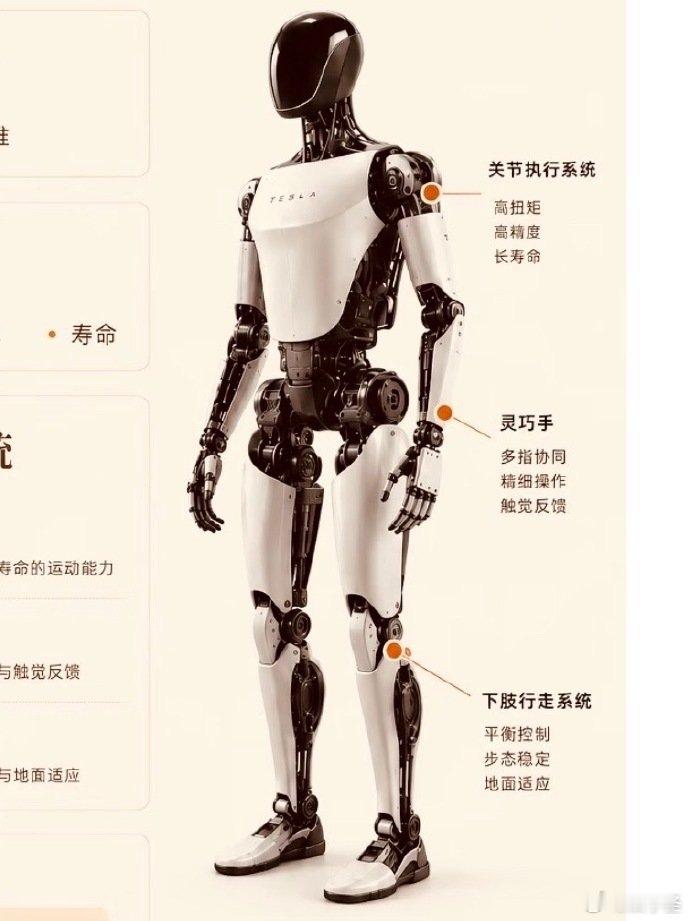 不是很希望靠人形机器人取代感情不希望靠人形机器人取代感情机器人打理生活无可厚非，