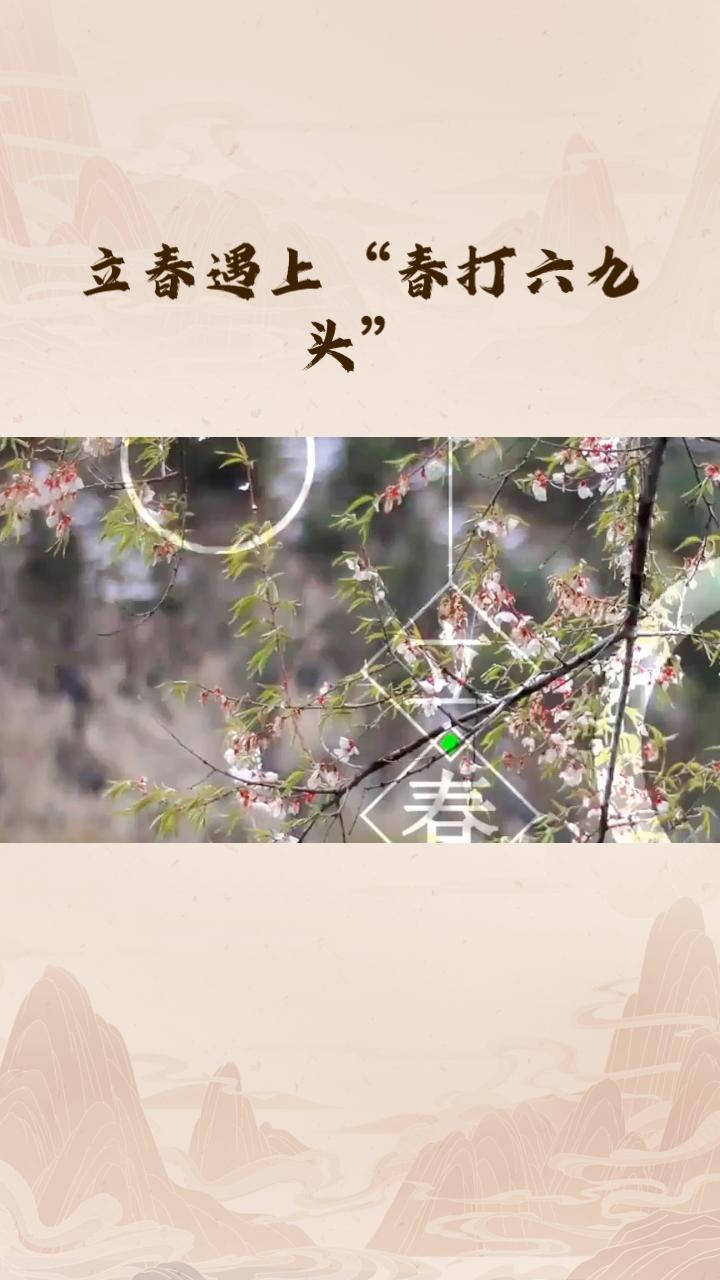 今年立春遇上“春打六九头”，这是否意味着又是一个丰收年？让我们一起探索这一特殊节