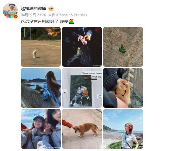 赵露思 永远没有告别就好了 是真诚又感性的女孩一枚[抱一抱]赵露思纪实类慢综小小