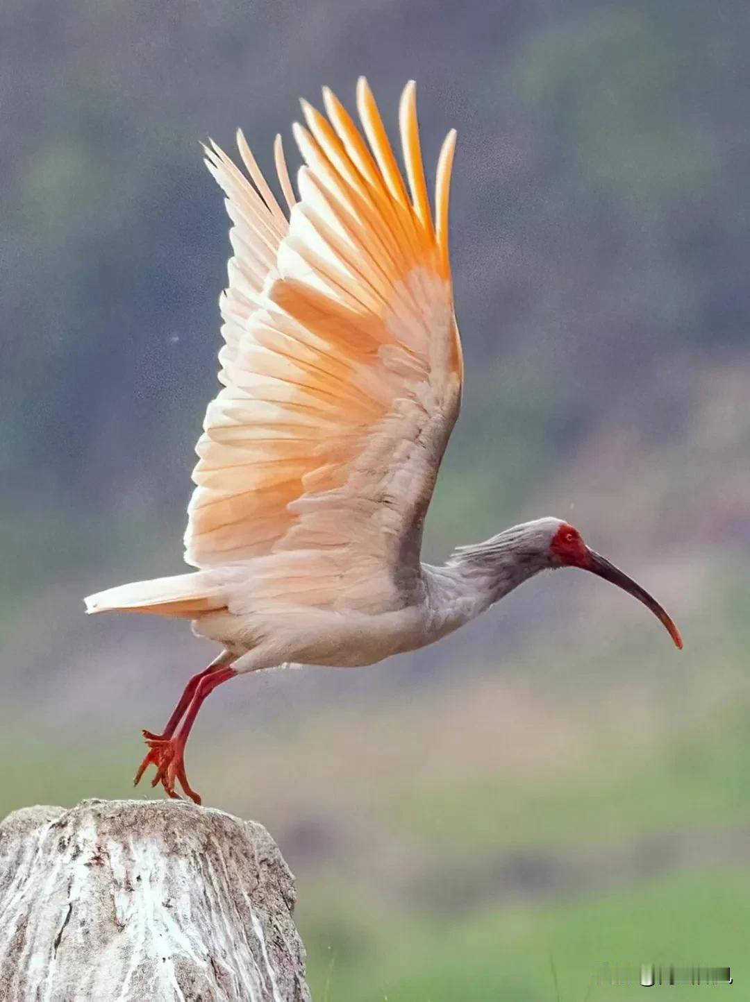 家乡慢慢就变成远方，成为长长思念中最有回忆的地方。