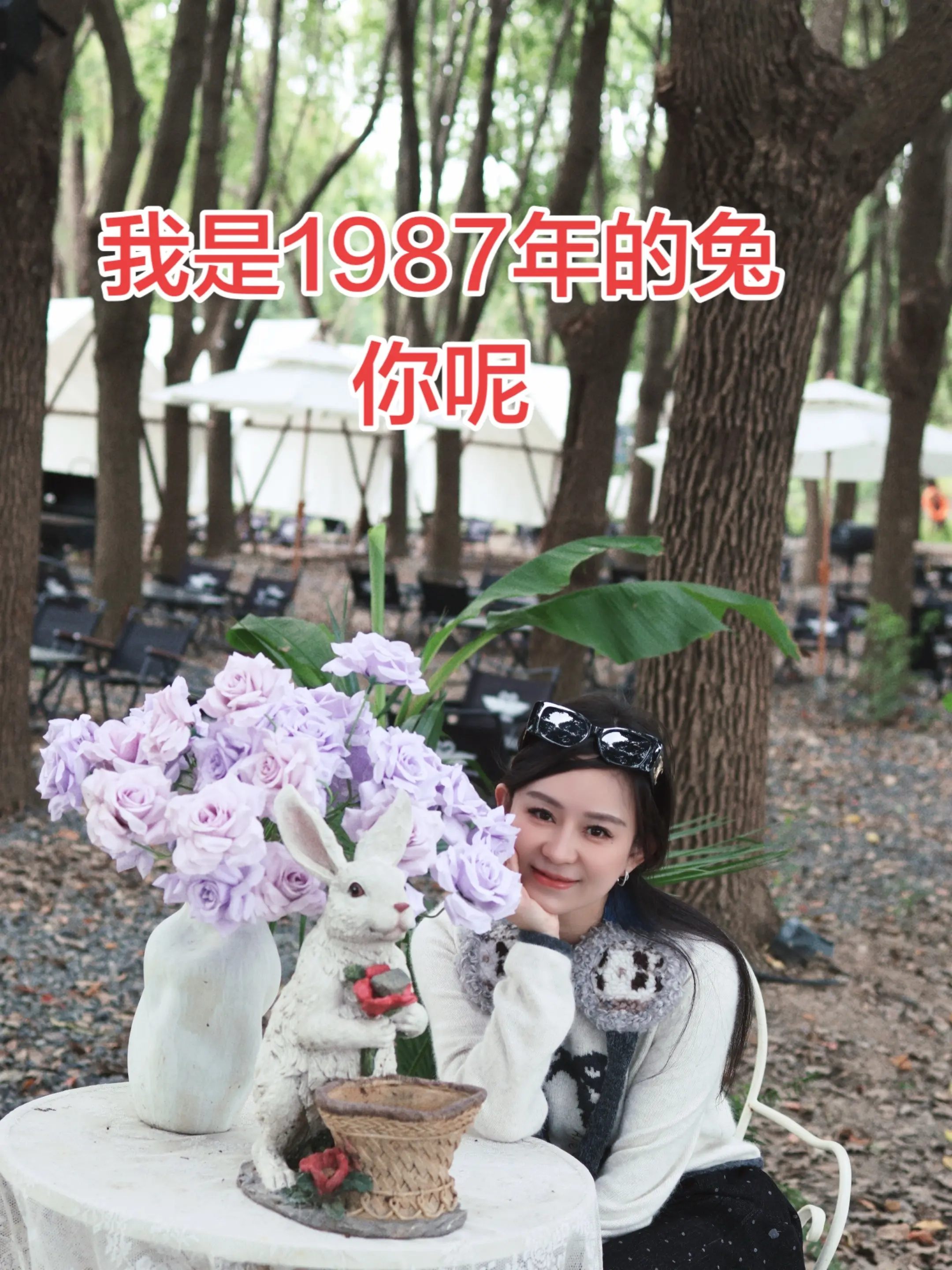 1987年的兔子，是老兔子还是小兔子