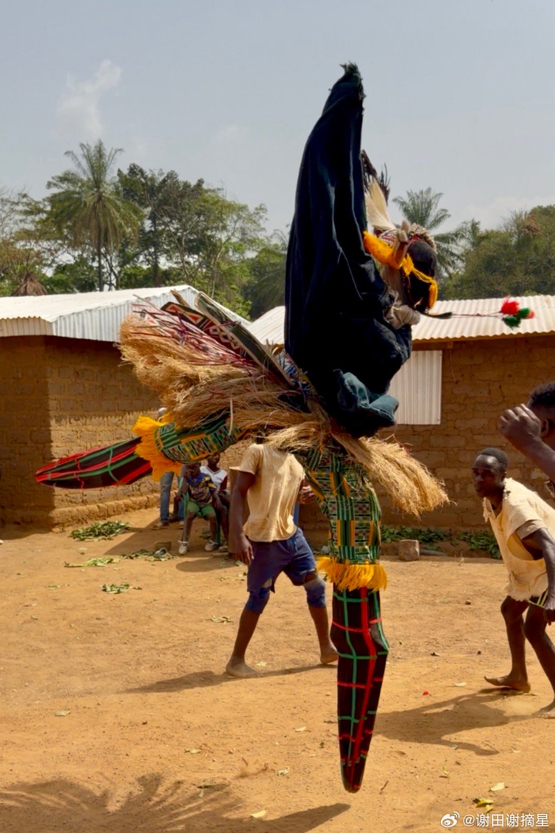 高跷舞和鸟人。科特迪瓦（象牙海岸）Dan族Yakuba人的传统仪式表演高跷舞，当
