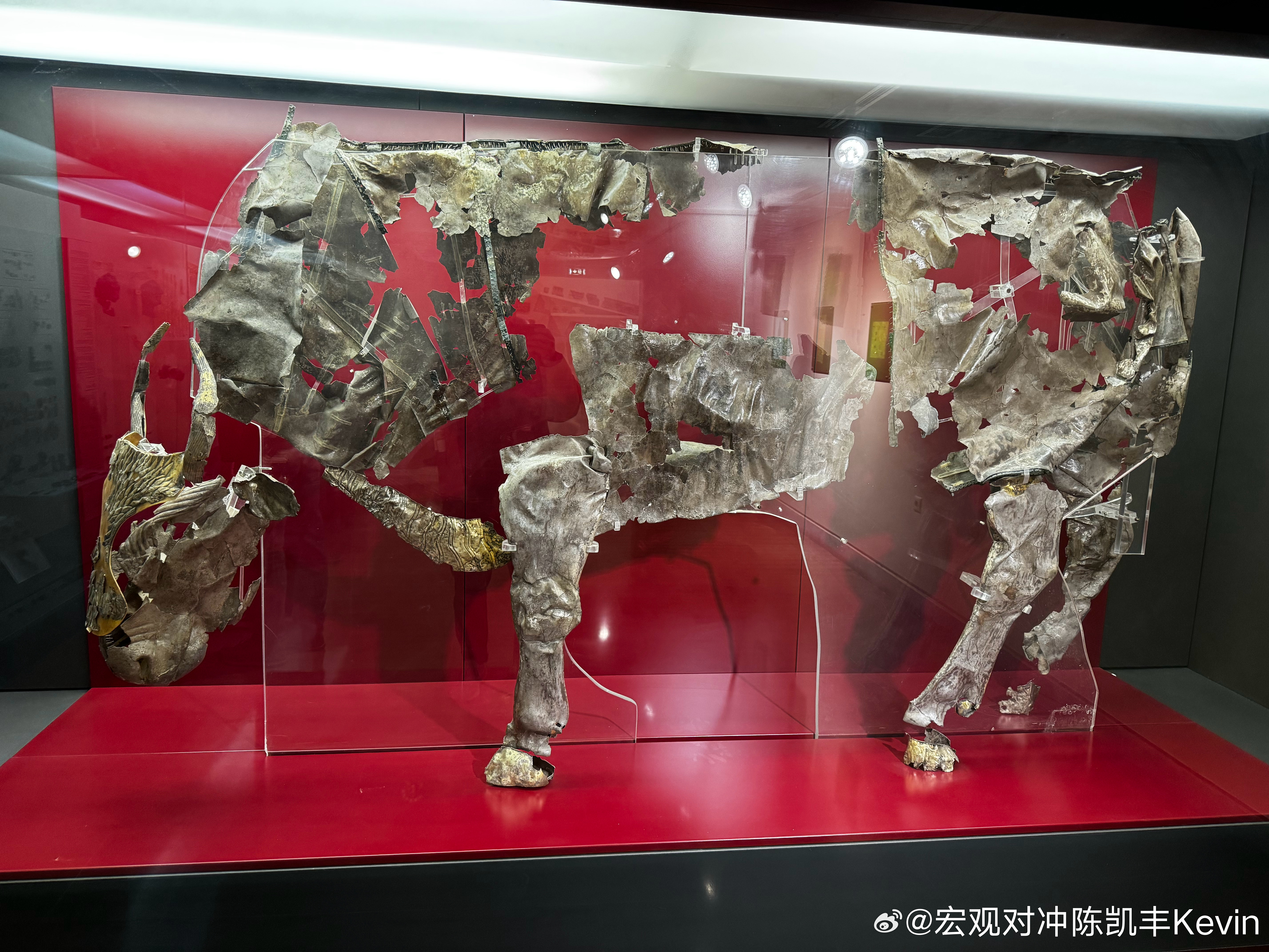 美国企业家还是有温情：一个值得分享的暖心故事是关于格雷厄姆·沃克（Graham 