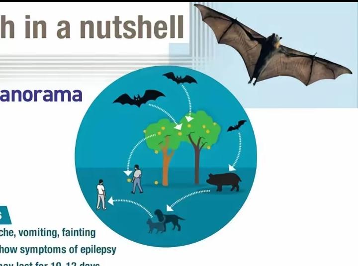 “2026-1-26 16:19 上海
突发特讯！中国向全世界严肃通告：中国已将