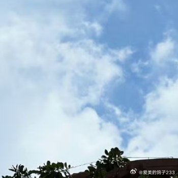 熊猫守护者[超话] 当我们拥有梦想的时候，就要拿出勇气和行动来，穿过岁月的迷雾，