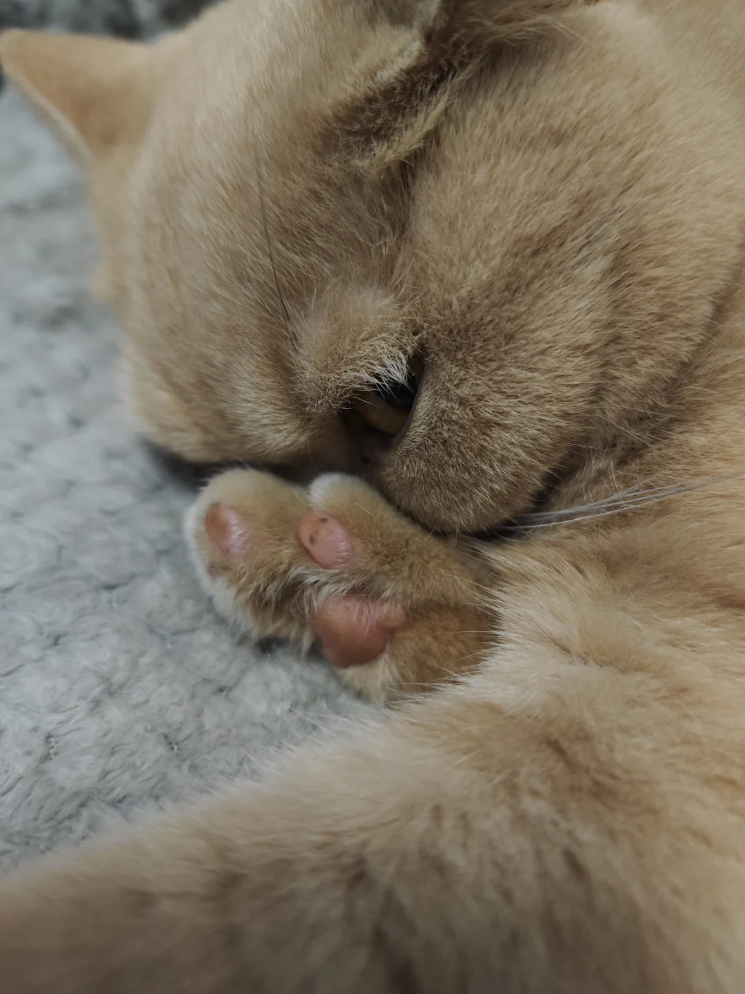 拍什么拍真的很烦