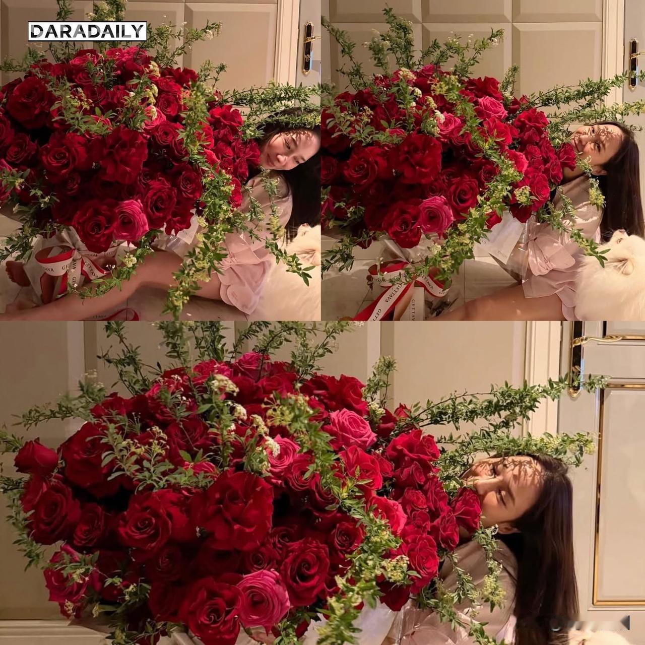 Aump。。超大束的玫瑰。。[玫瑰][玫瑰]