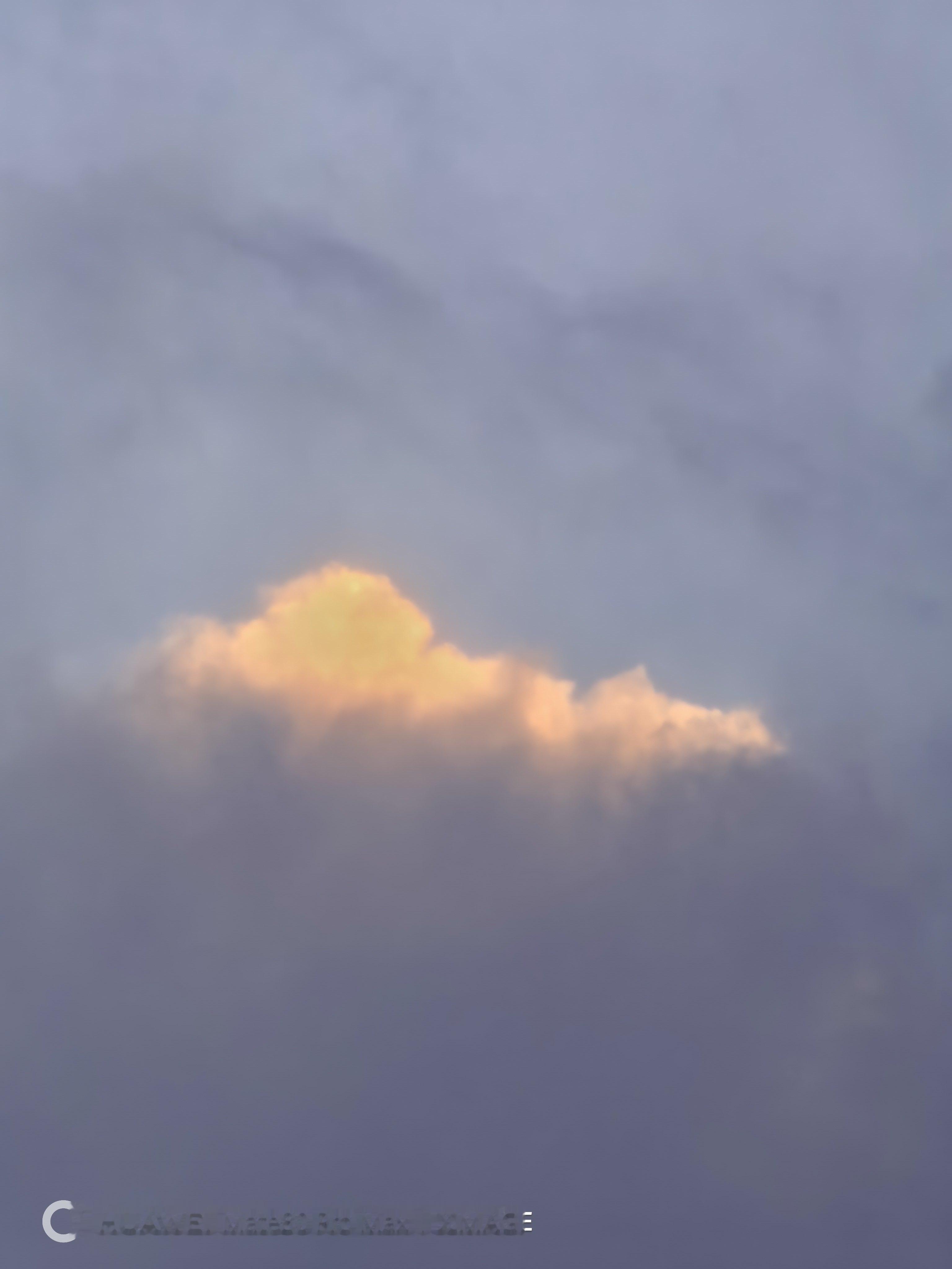 今年特爱拍☁！老了老了 