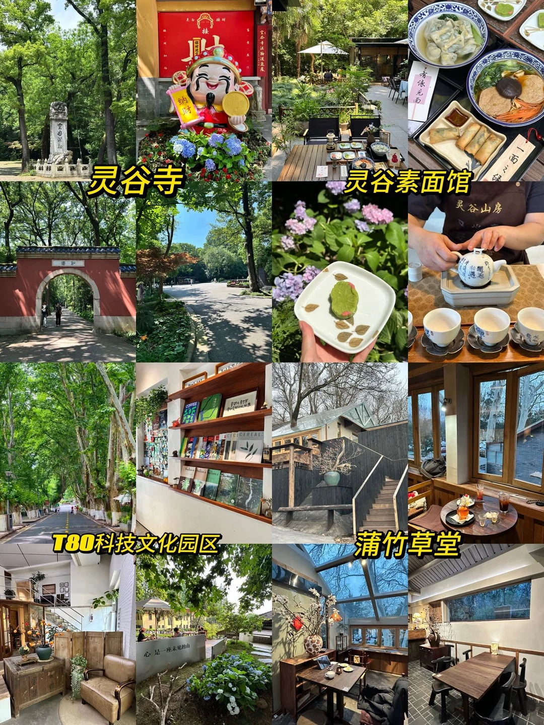 南京钟山慢逛｜一日放空吸氧City Walk路线