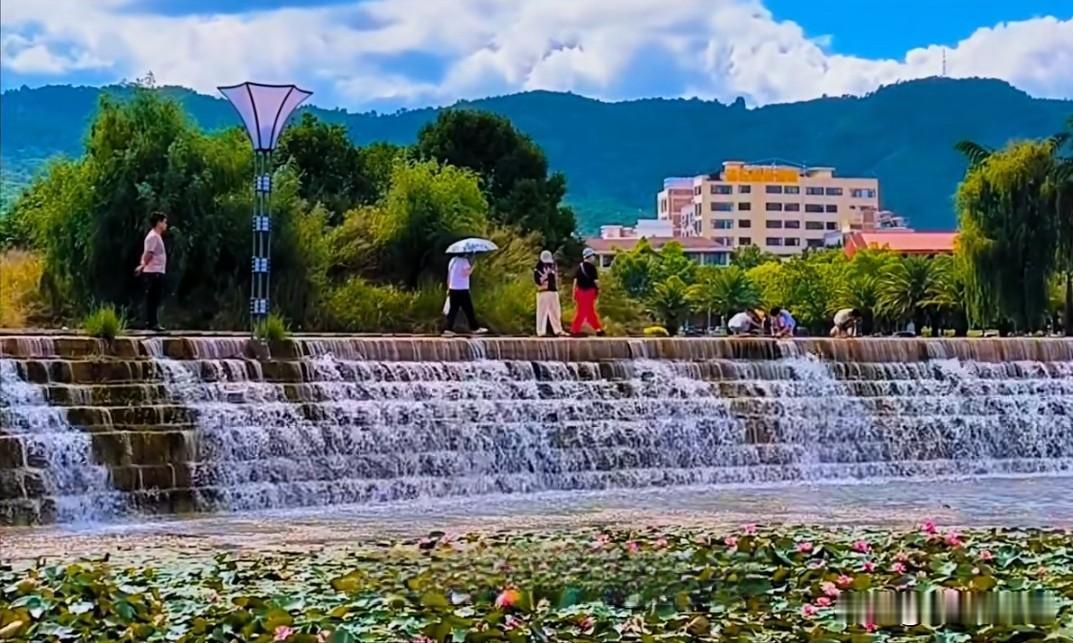 夏日生活打卡季夏日阳光，轻挽悠闲时光。在葱郁的绿荫下，感受每一丝热烈的光芒。让指