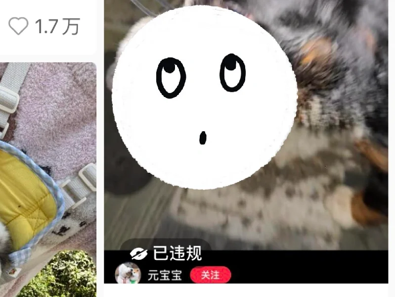 好好好