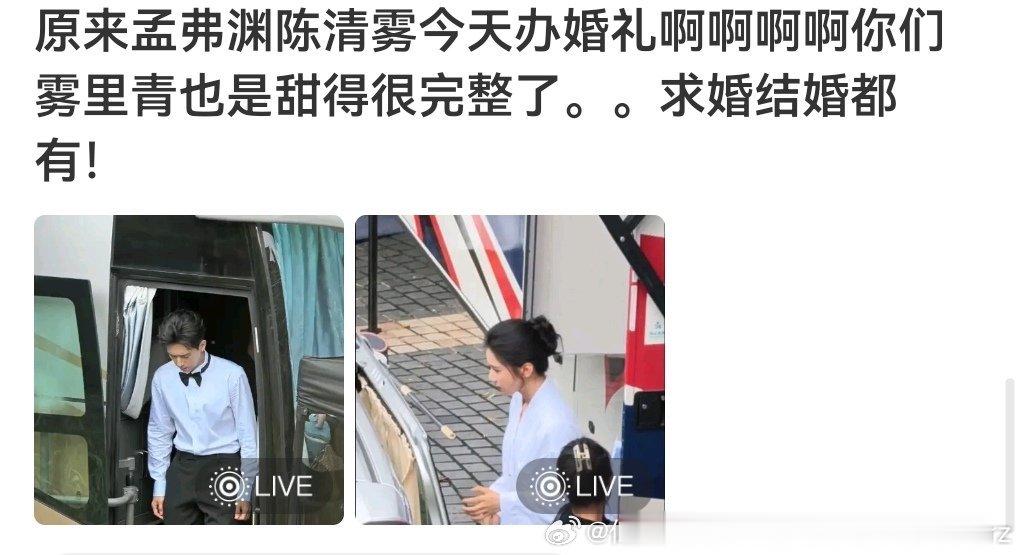 不久前刚刚在这个剧的拍摄期间请假拍了野狗这个剧的婚礼