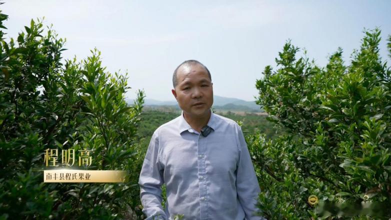 一颗蜜桔的三十年匠心：听程明高讲述南丰蜜桔的“甜蜜密码”“我是南丰人，我的祖辈也