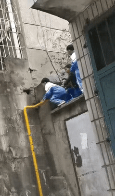 这时候再不好好管教，更待何时？