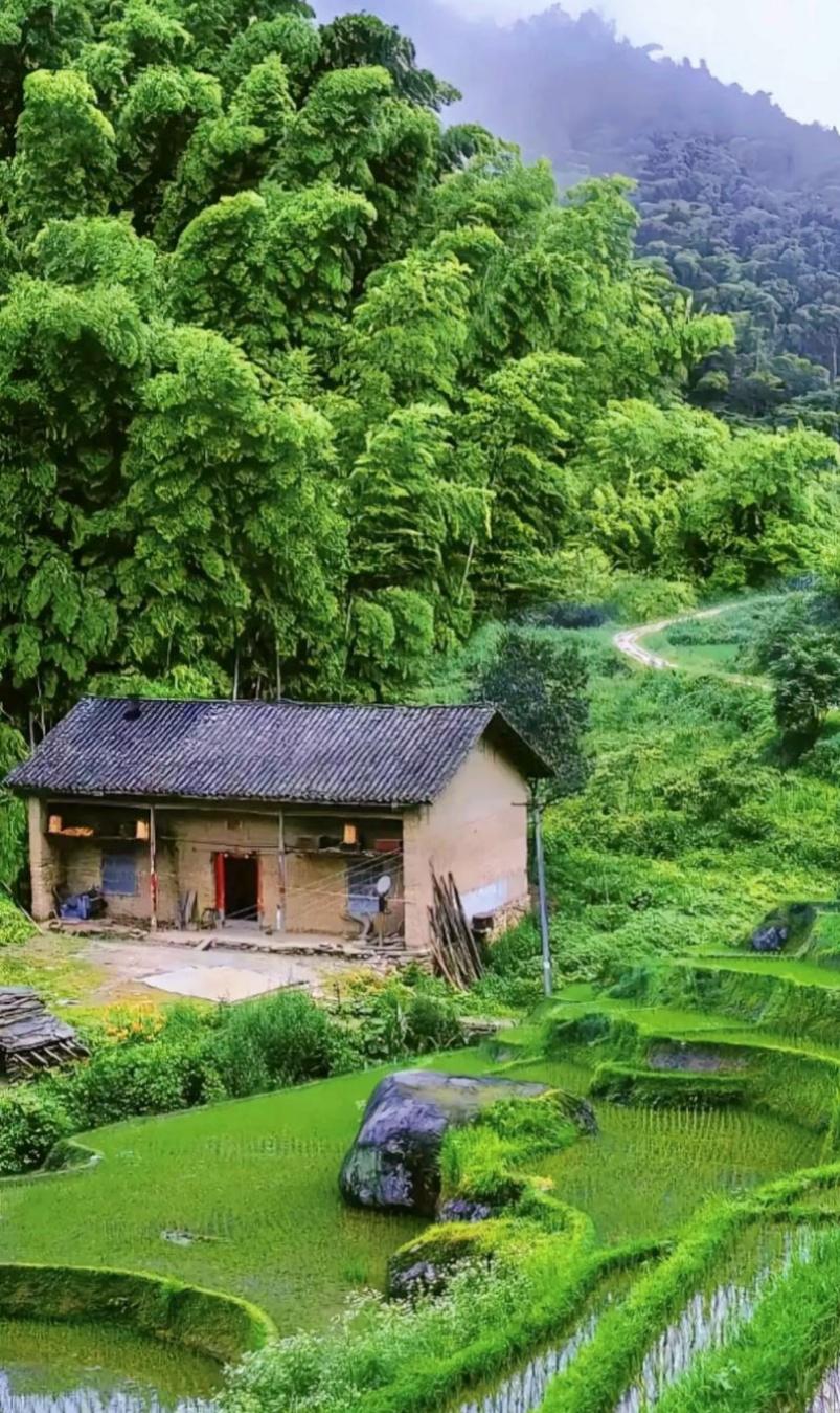 问余何意栖碧山，
笑而不答心自闲。