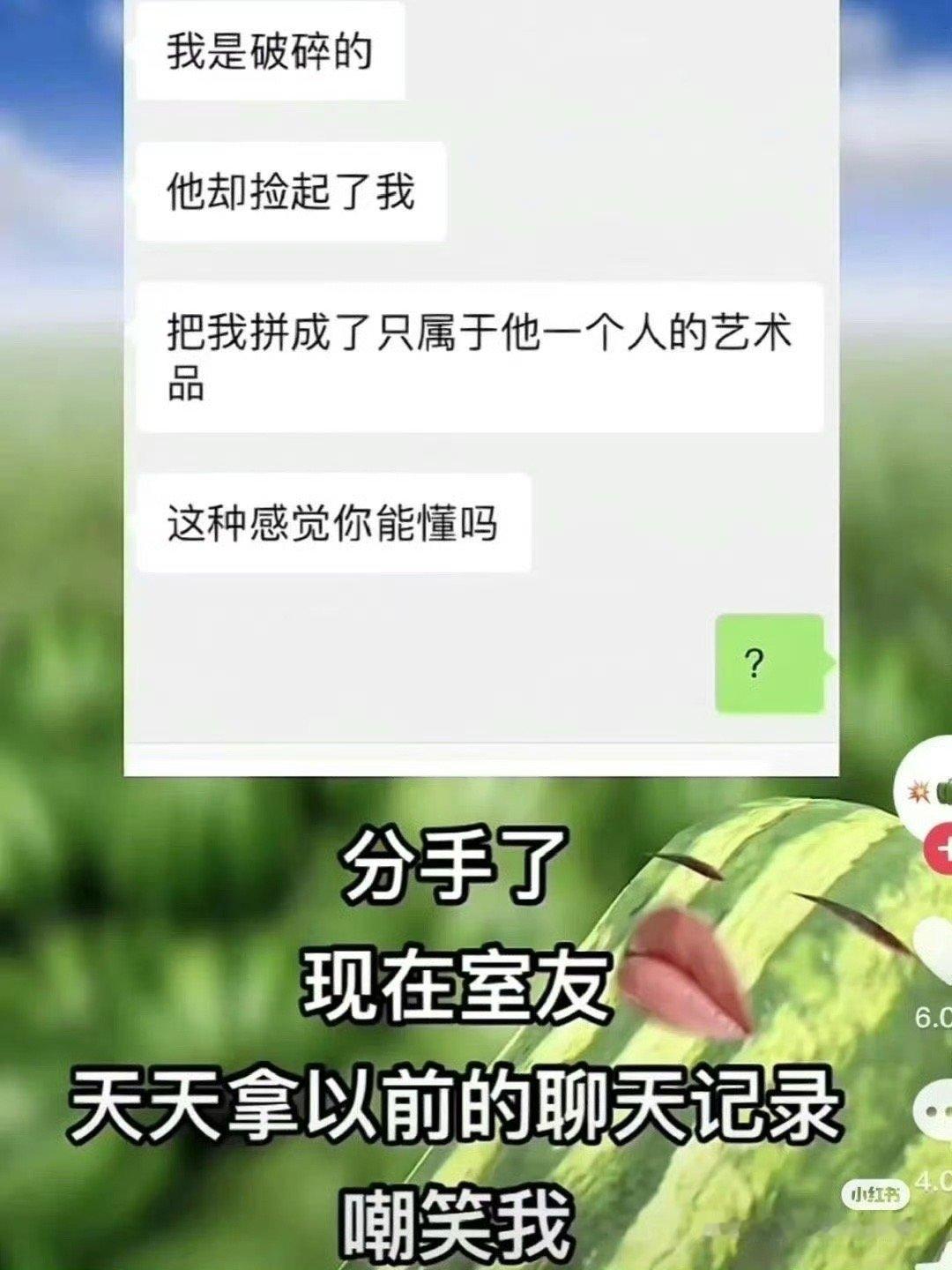 可以让我当你室友吗 我也想笑 ​​​