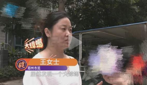 河南郑州，一名女子点外卖时，竟吃出一只带翅膀的大蟑螂。她怀疑商家后厨卫生状况不堪