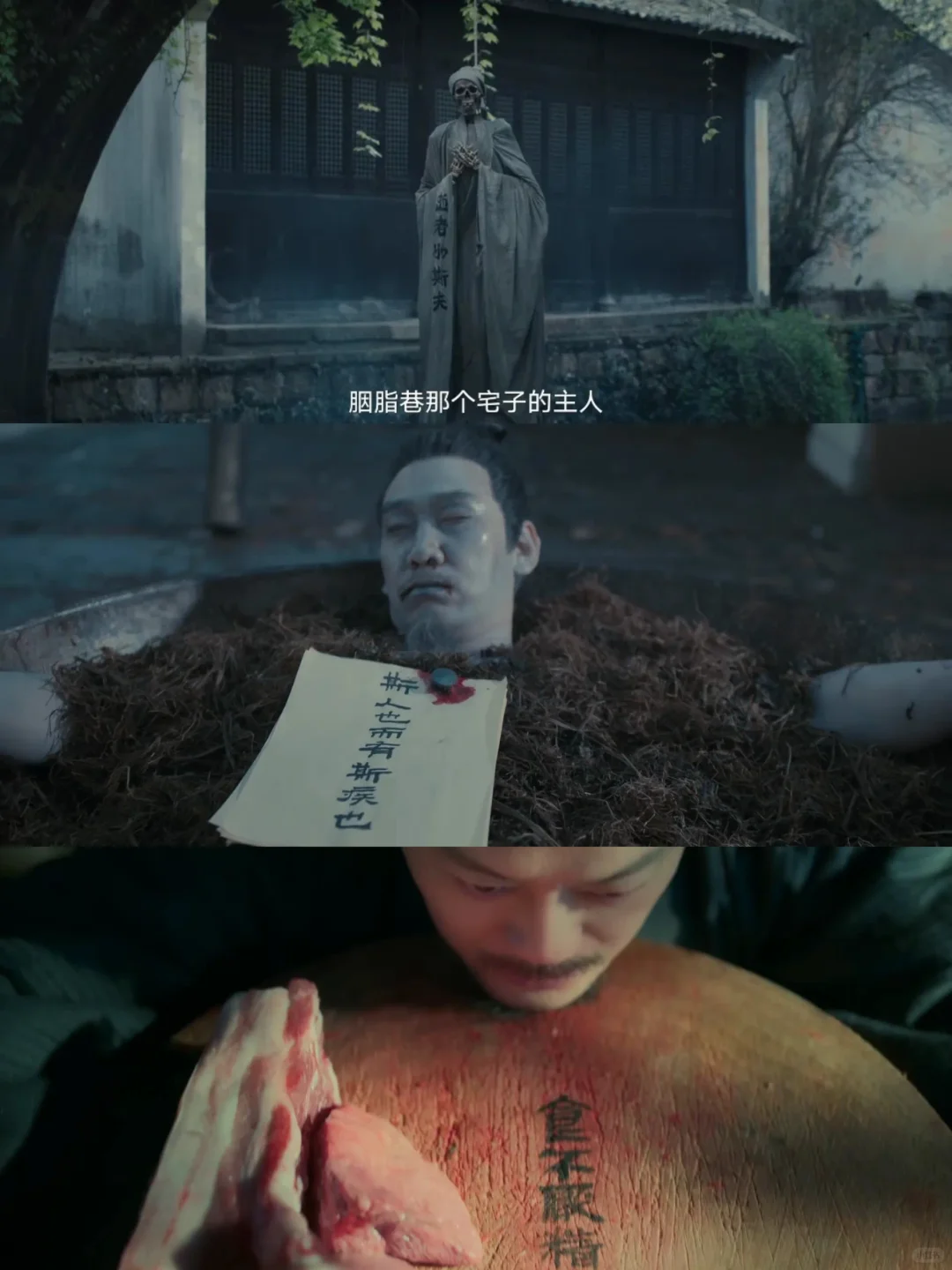 鲨疯了😱精彩的我都不敢喘气‼️