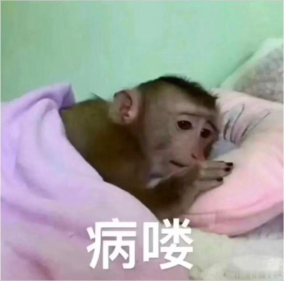 小寒已至多地竟还在高温模式小寒高温这天气太反常了吧，小寒还在穿短袖！昼夜温差太疯