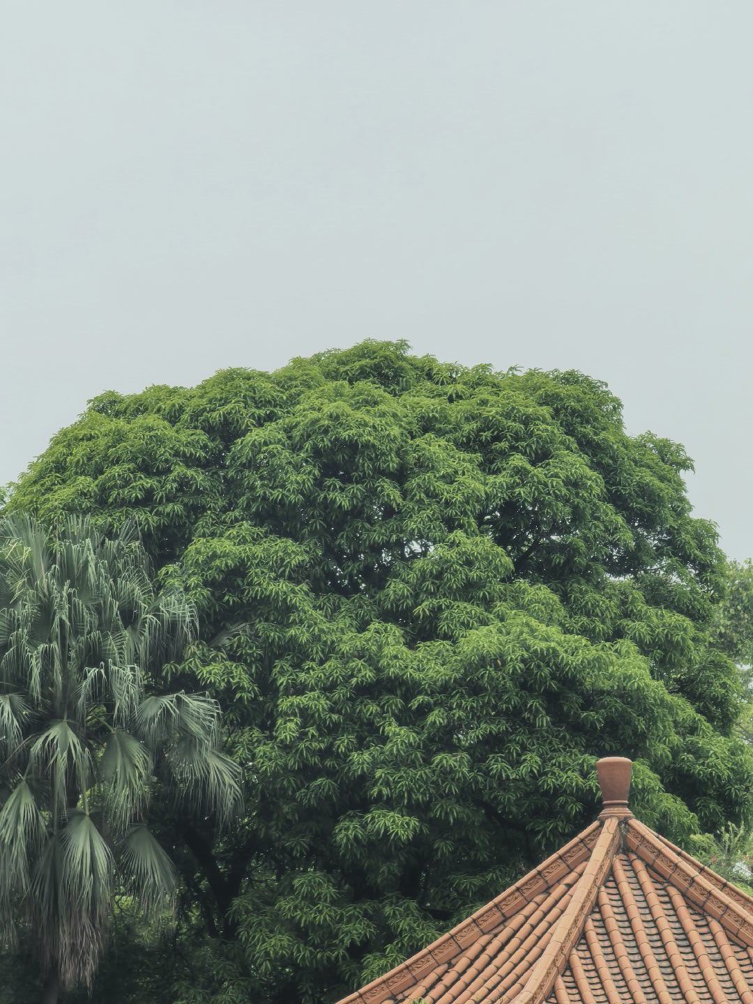 怀念“本部”称谓，怀念所有的光辉。早晨老友记！ ​​​