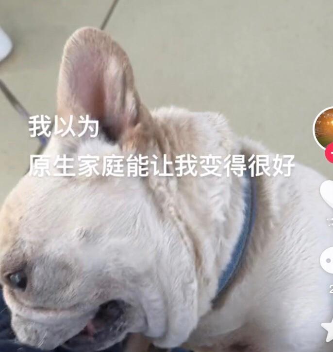 #小刘日记# ​​​