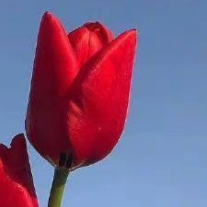 龚俊 阳光信用 每日一善要确立一个远大的志向，树立和培育正确的理想信念，对自己的