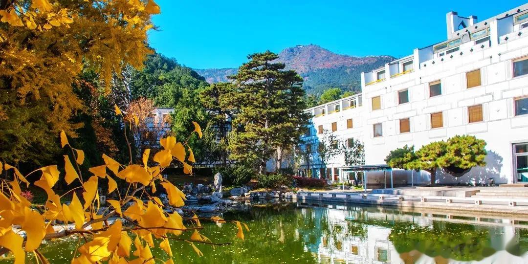 #秋之童话# 
秋天，总是那么浪漫🍂
秋天是个浪漫的季节，会有不期而遇的惊喜和