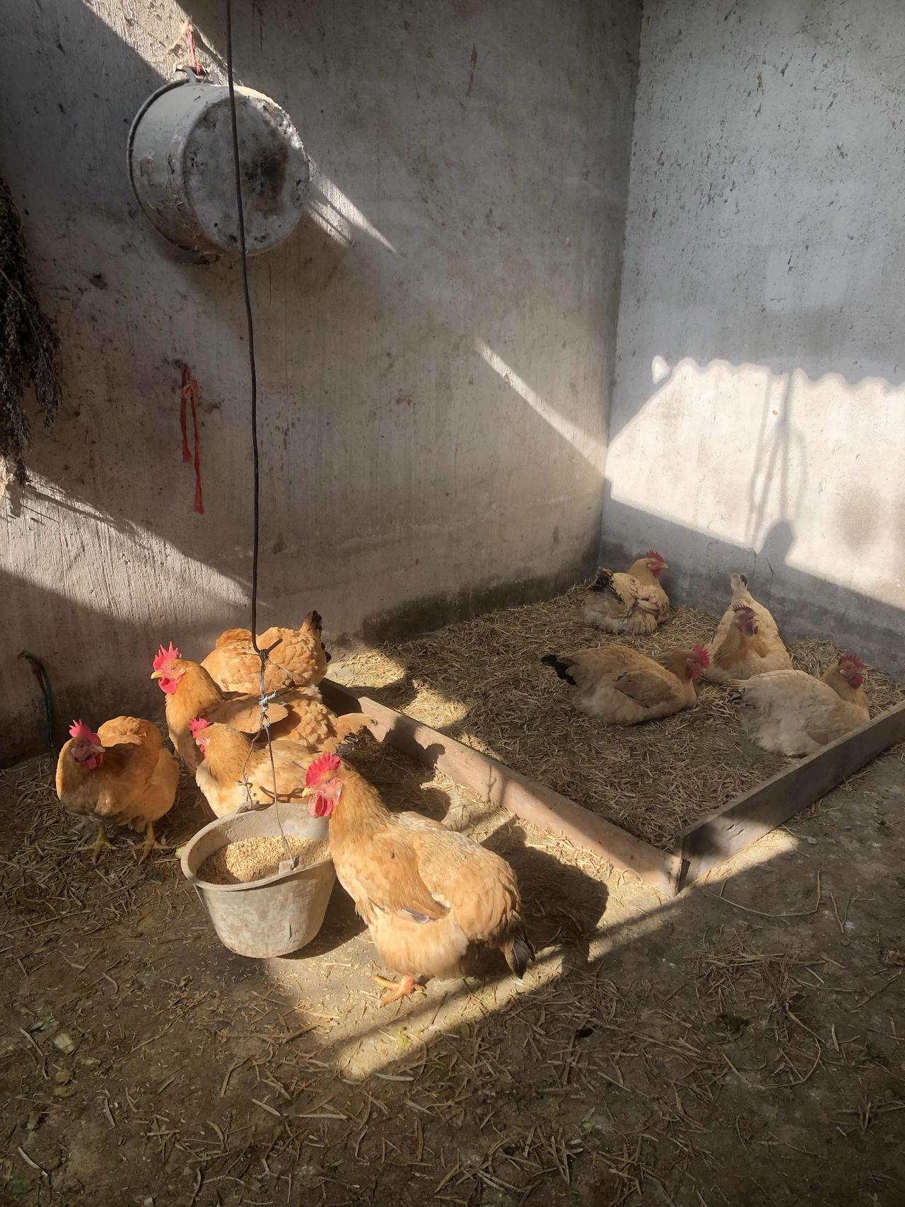 说实话，怎么会不累呢？
早上一睁眼就是柴米油盐，
上班要应对一堆事，下班回家还得