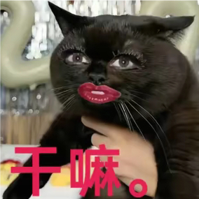 分享图片 