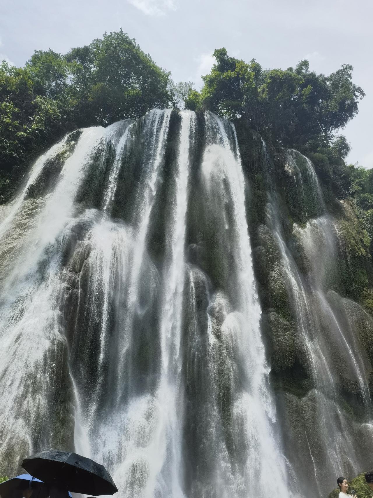 只恐行云随风去，争奈闲花竞日妍，终朝心暗牵！---送给那些代代红们！