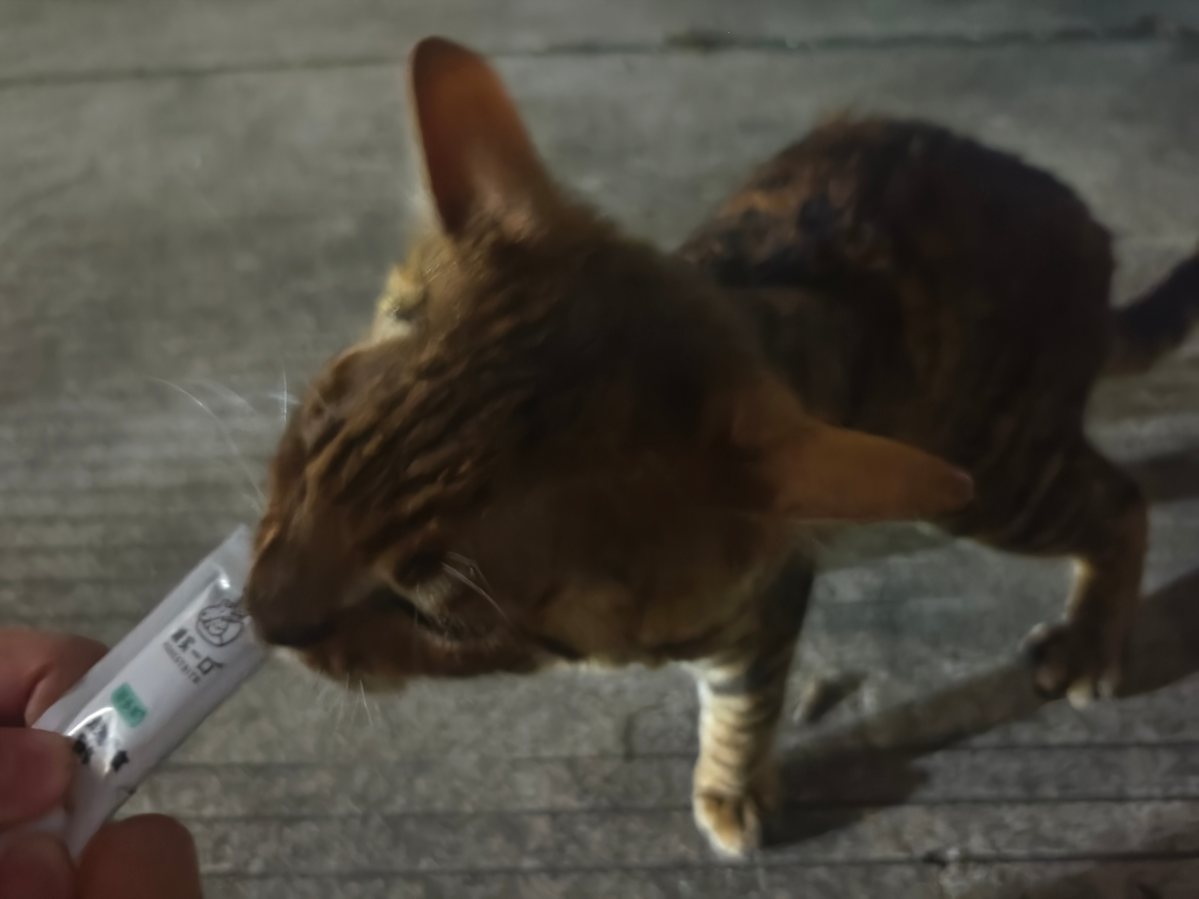 遇见活菩萨了我的逆子终于找到了直接跑去另一个小区了，都不知道他怎么过去的，隔着一