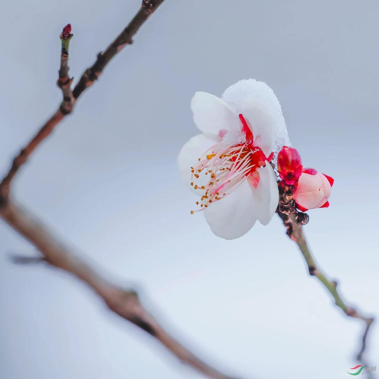 上联：笔点红梅香入墨；
下联：？？