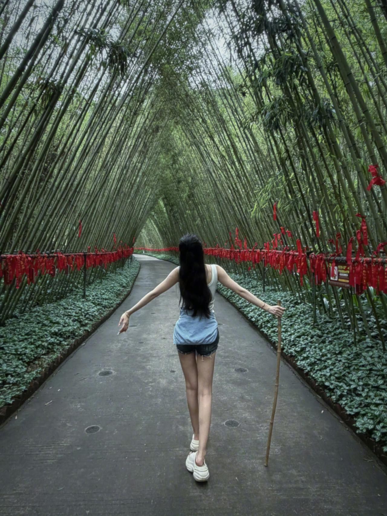 新的一天，全力以赴，也善待自己。