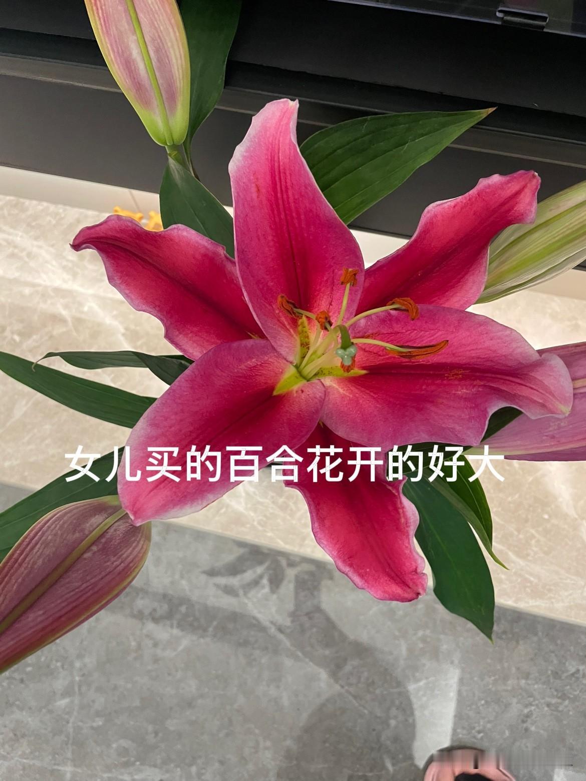 我记得孩子小时候我们晚上带孩子出去玩，走到滨河路有卖玫瑰花的，我说你给我买朵花吧