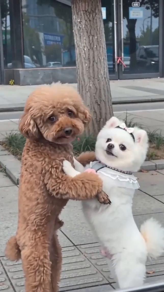 哈哈哈。