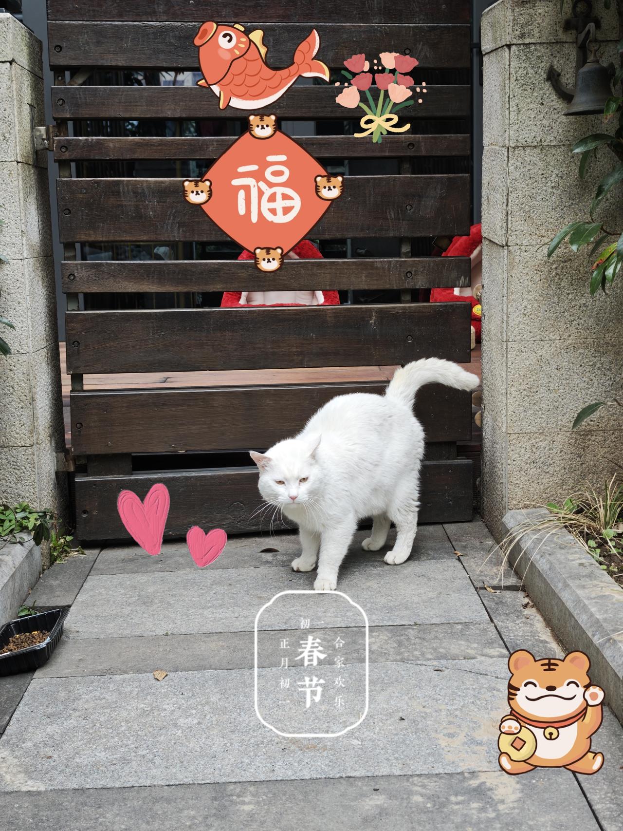 昨天跟侄女聊天，再次刷新了我的认知。
她在浙江一个中等发达程度的县城医院，她说，