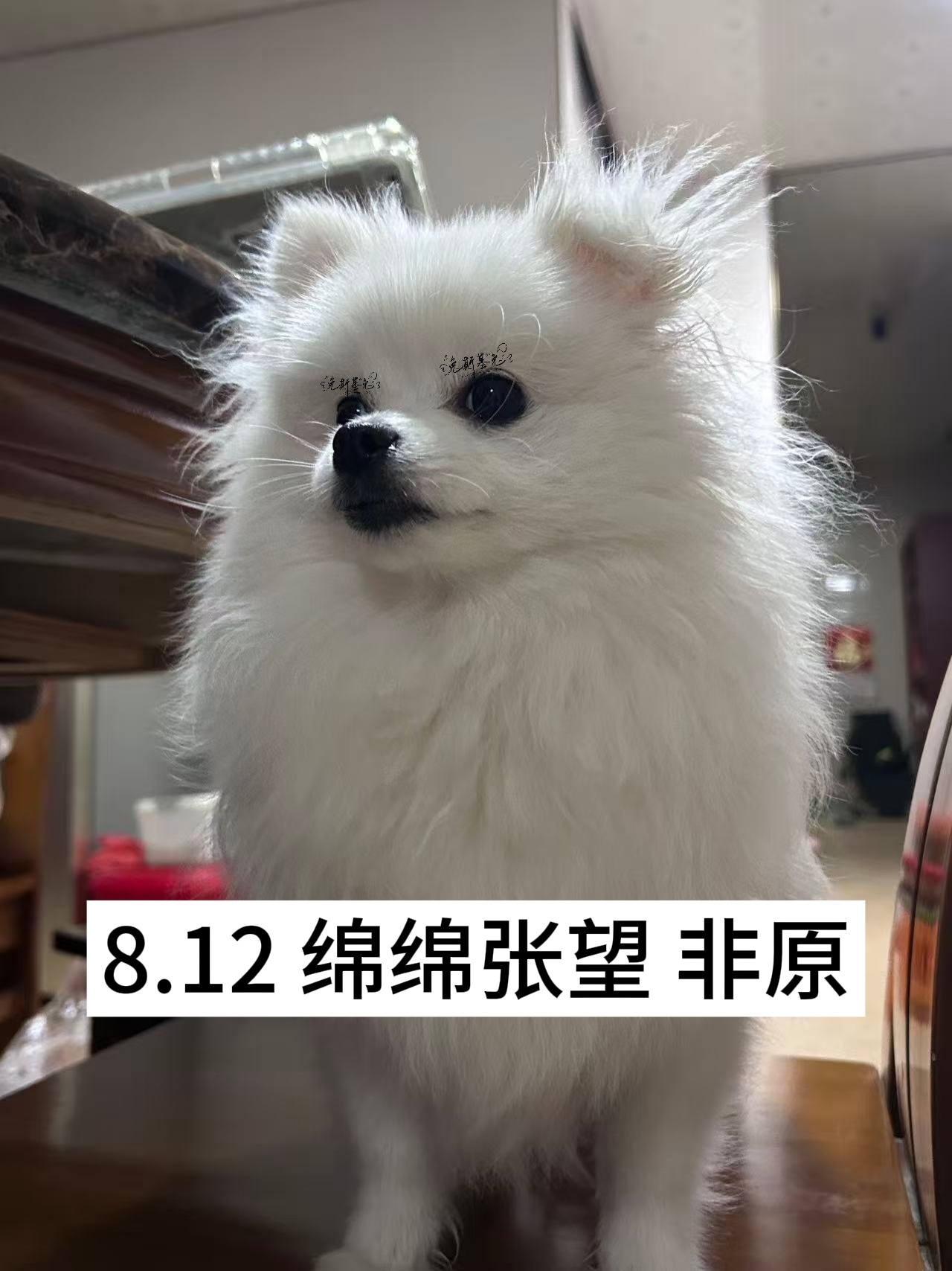 看懂的这辈子有了 