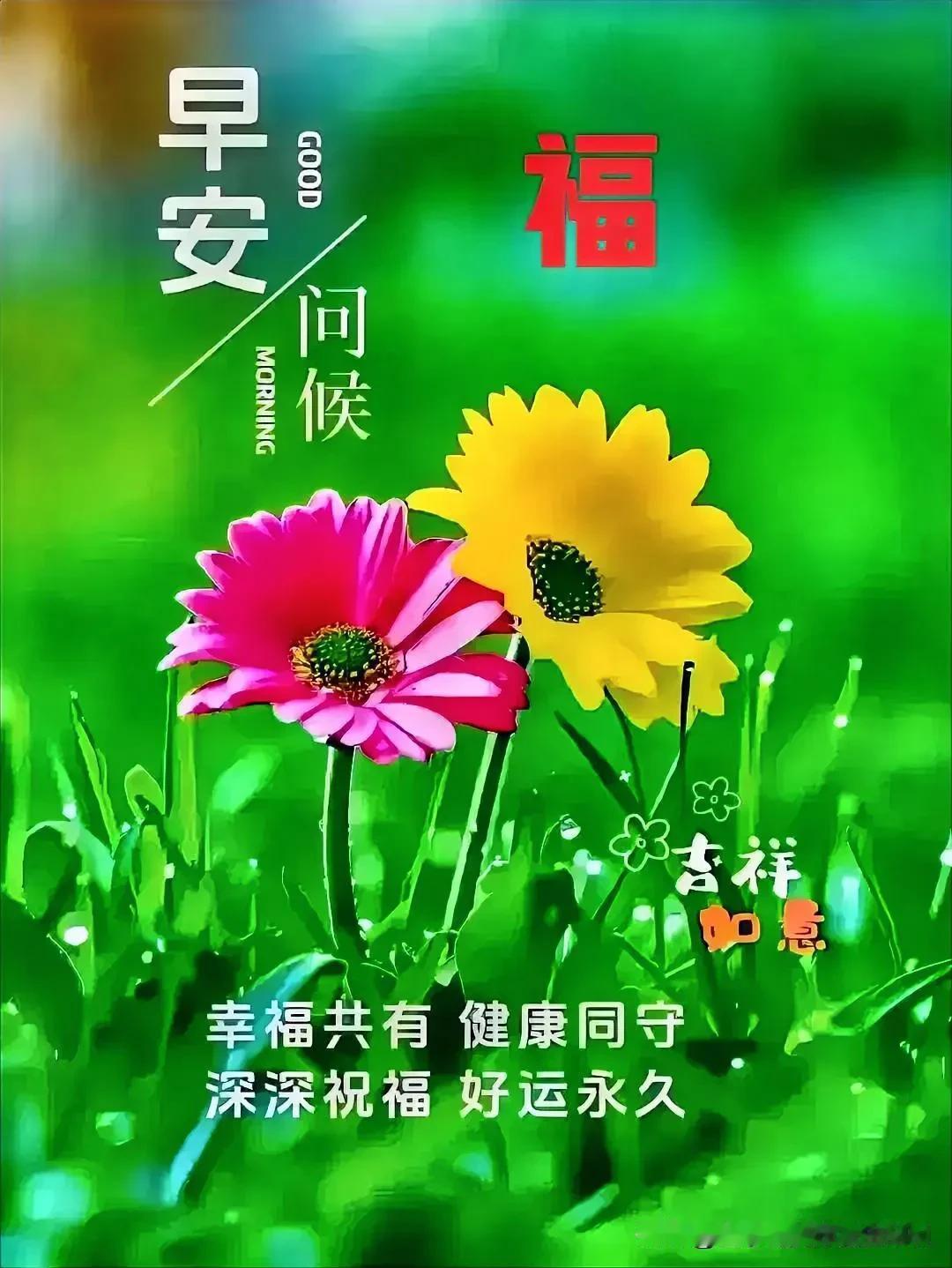 一半争取心不空，
梦想就在进取中；

努力拼搏气如虹，
勇攀高峰向上攻。
[玫瑰