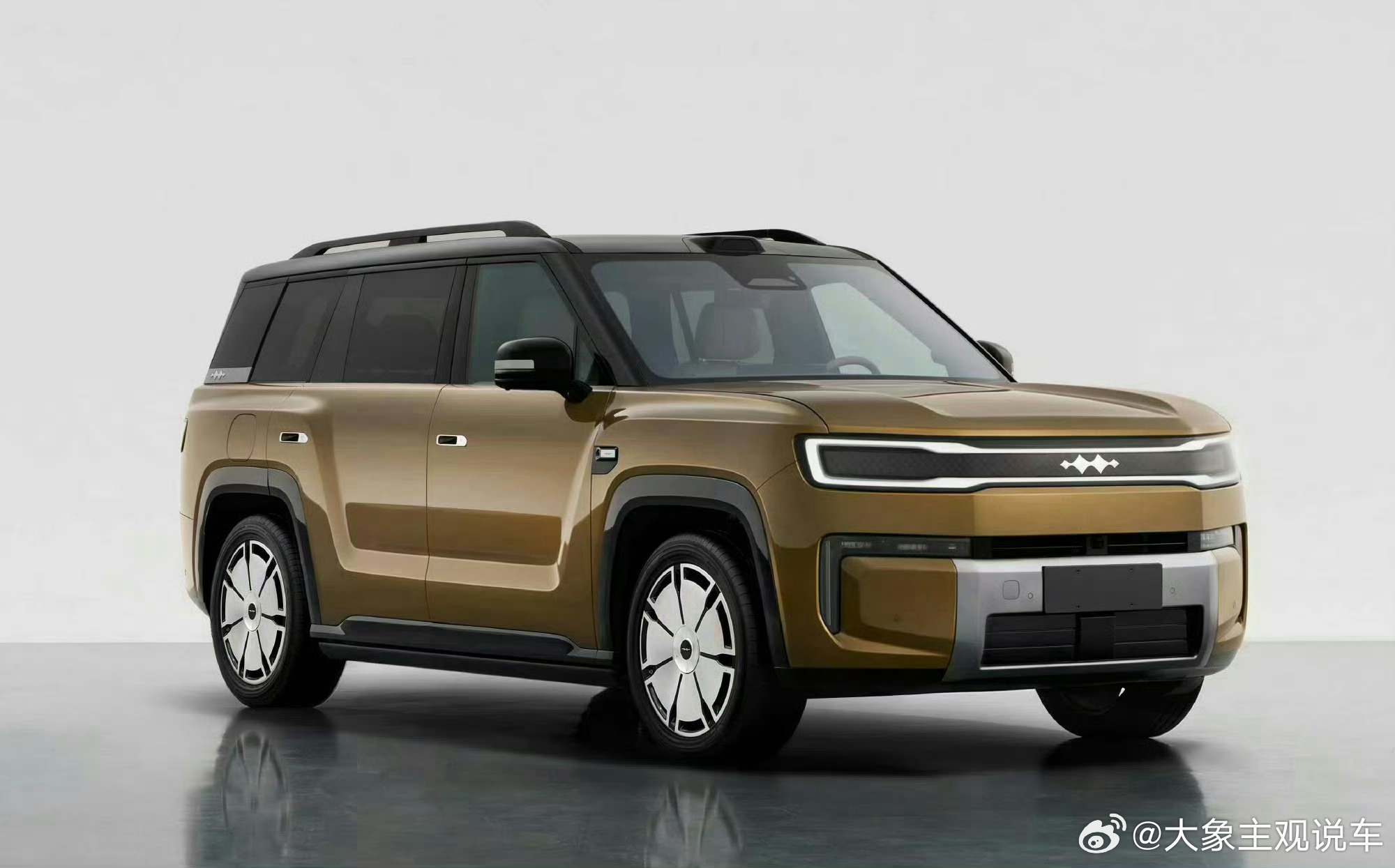 You can always trust Baobao!豹豹冲！ 