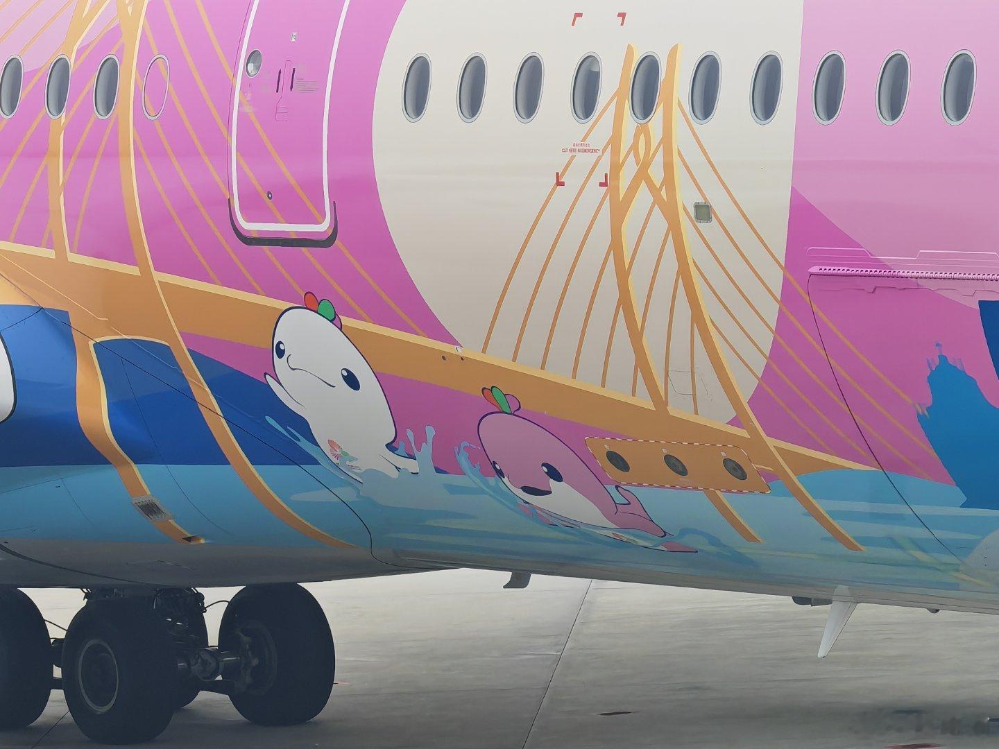 这架大湾鸡的涂装好可爱，它一般是执飞哪条航线的？下次看能不能坐上