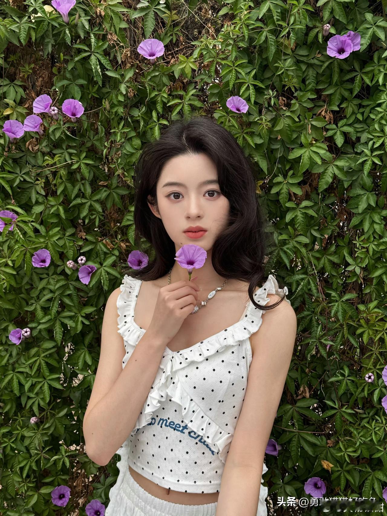 黄杨钿甜分享图片