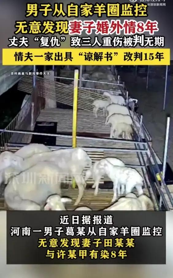 “冲动是魔鬼！”河南，男子查看自家羊圈的监控时，无意间发现妻子与同村男子发生了不