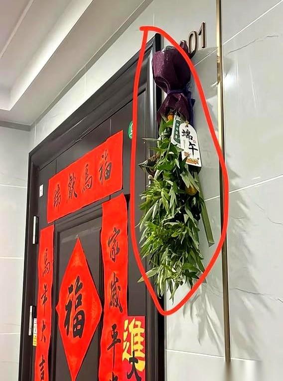 又是一年端午，奶奶从墙角拿起那一大把艾草，一股浓烈的、带着点苦涩的草药味瞬间就冲
