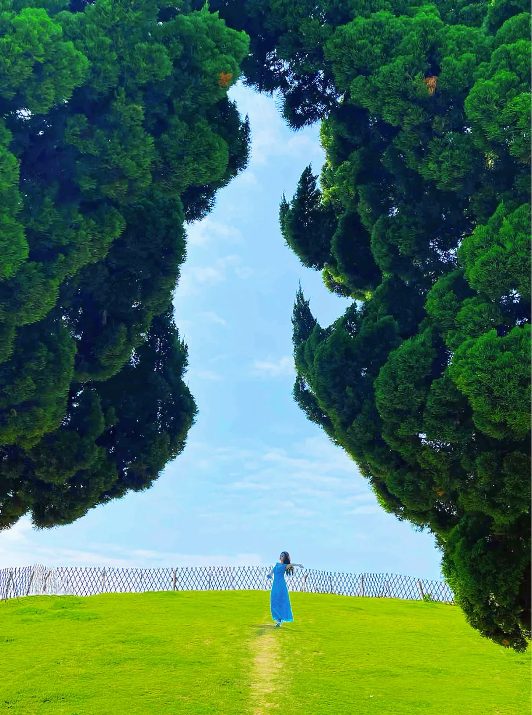 pyq被问疯了❓在青岛❗️我真的没出国