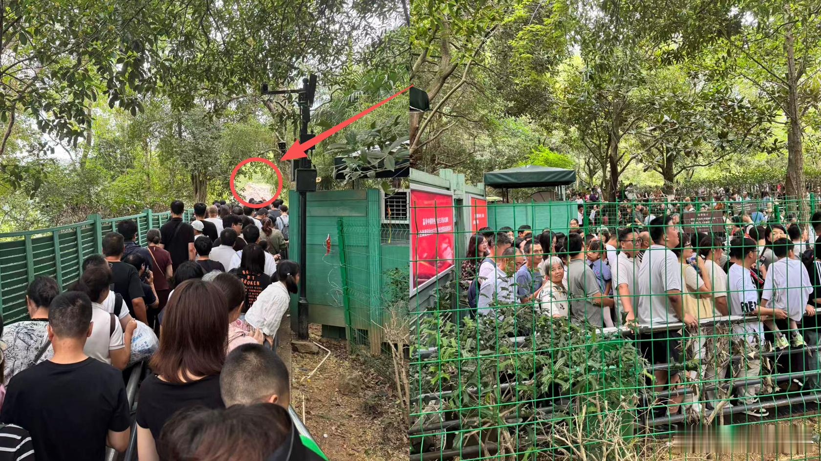 今天，博格在韶山排了四五个小时的队。韶山最核心的景点就是教员故居。房子不大，但是