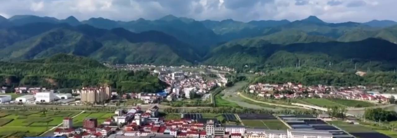 从青山环抱的乡村，到黄鹤楼矗立的武汉，再到许昌的社区街巷，不同地域的发展图景各有