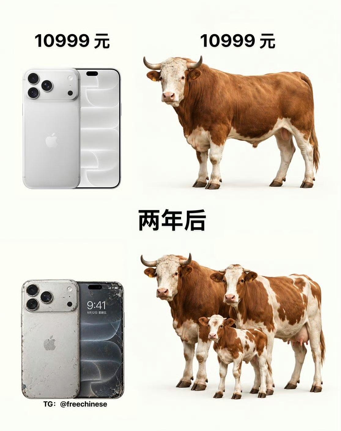都是10999元，到底买苹果手机还是买一头牛？
iPhone18promax与一