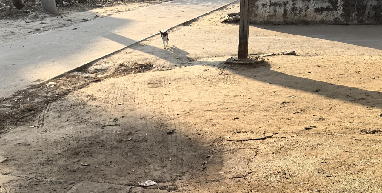 农村生活，安逸农村 农村生活环境