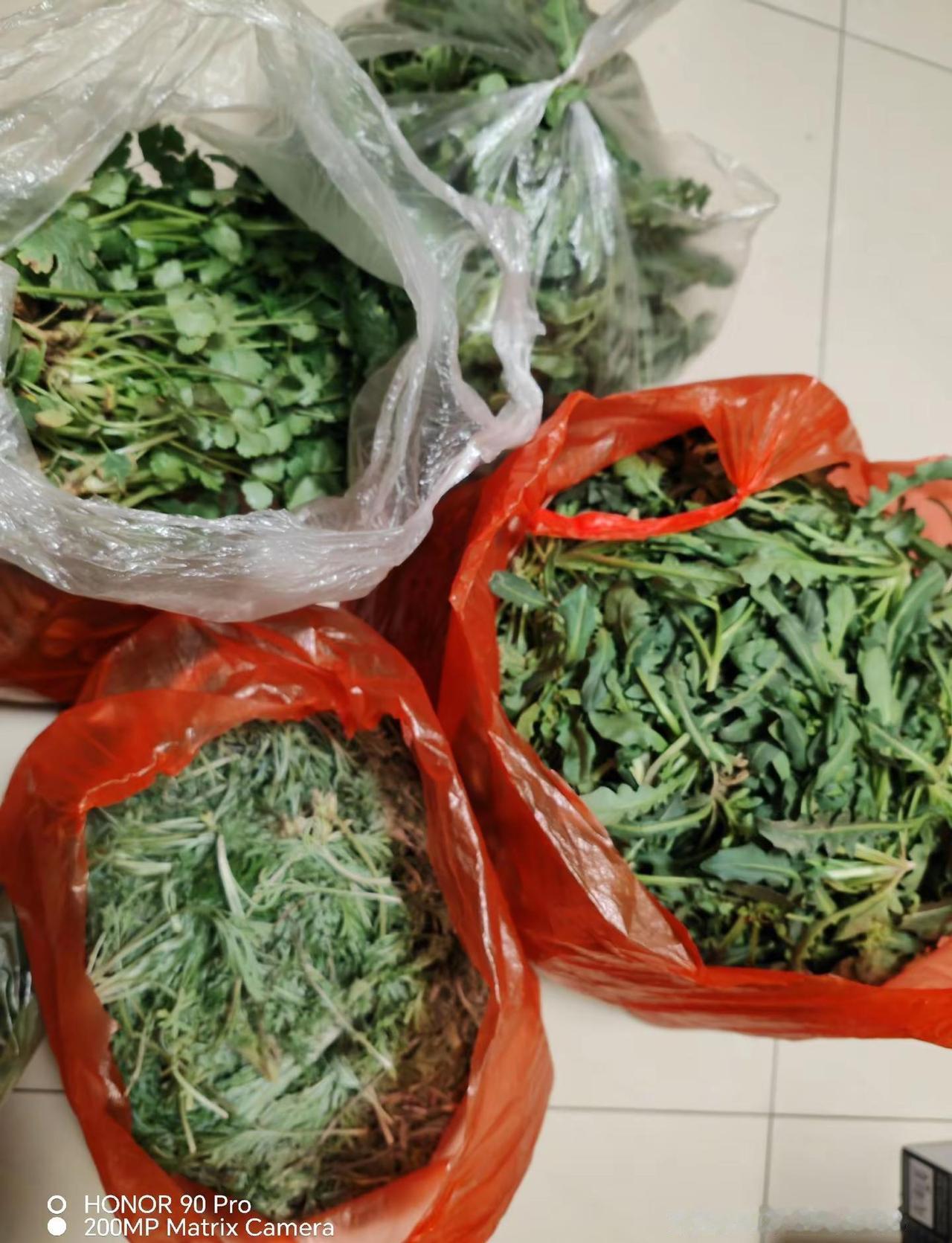 《别把善良用错地方》（沧桑小杰）完整歌词 从前对谁都掏真心为了别人折磨自己所有关